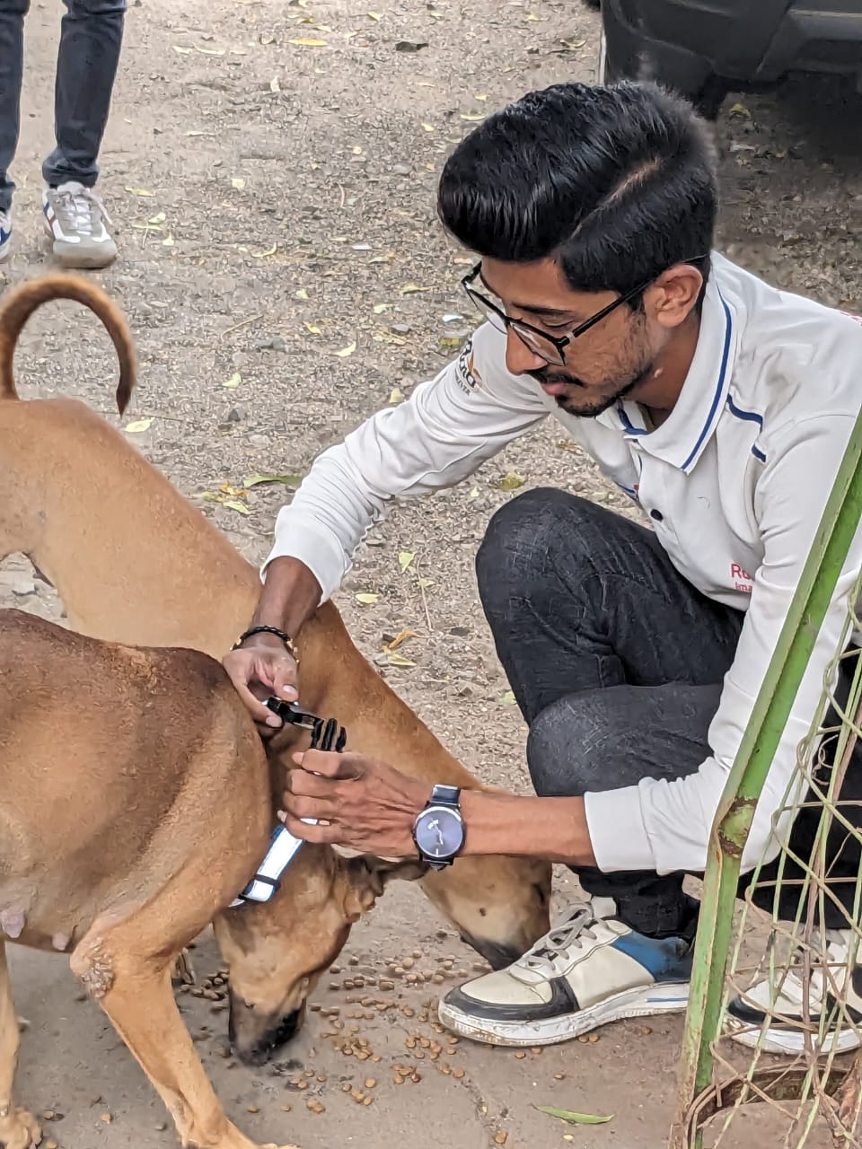 birthday celebration